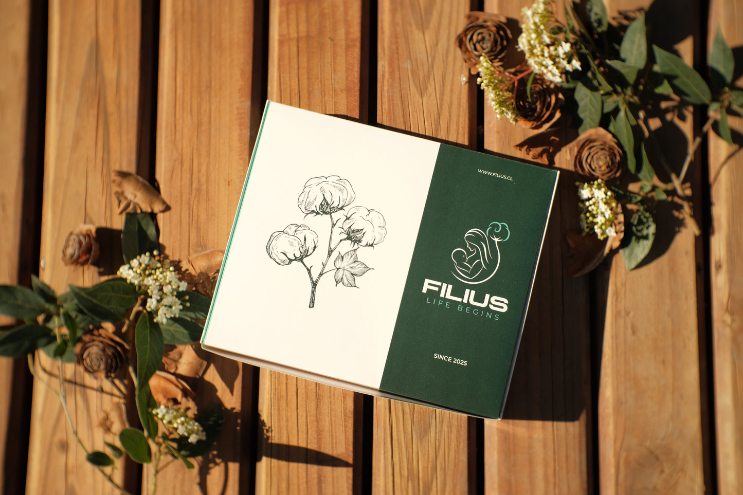 Baby Shower FILIUS Box Chambrita Clinica Recien Nacido Algodon Producto Chileno