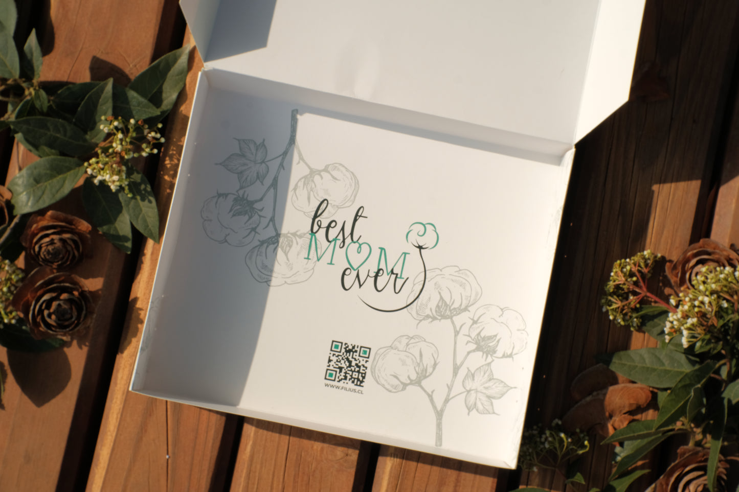 Baby Shower FILIUS Box Chambrita Clinica Recien Nacido Algodon Producto Chileno