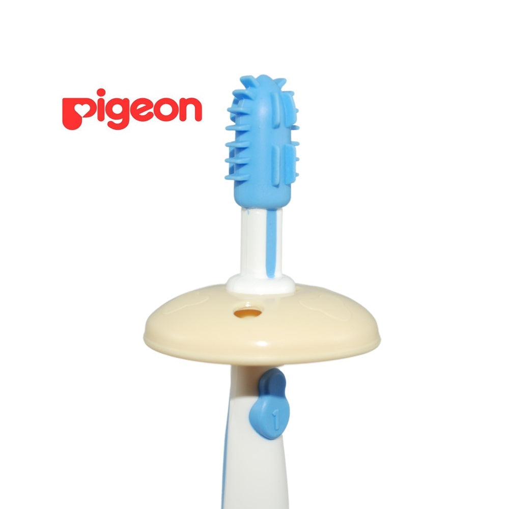 Cepillo Dental Etapa N° 1