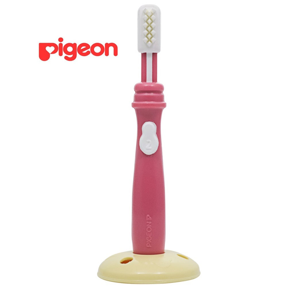 Cepillo Dental Etapa N° 2