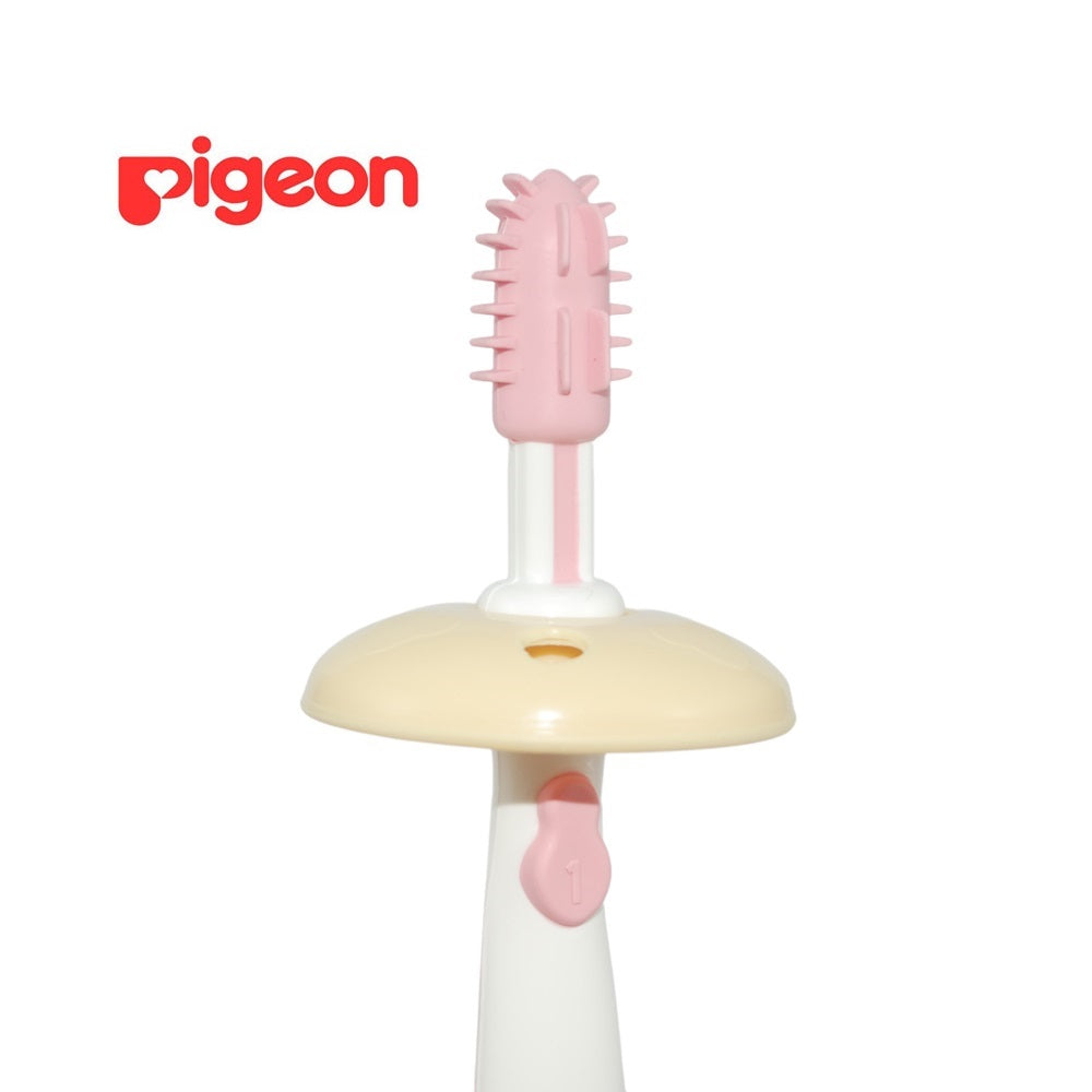 Cepillo Dental Etapa N° 1