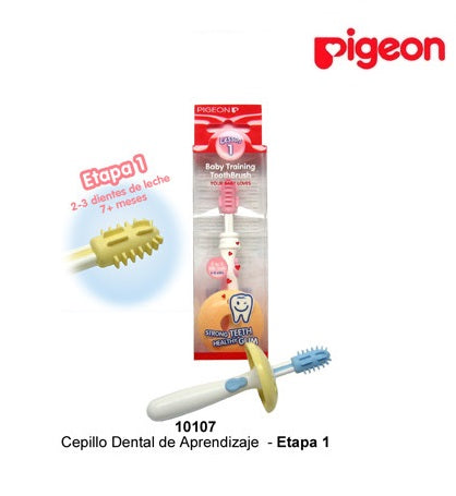 Cepillo Dental Etapa N° 1